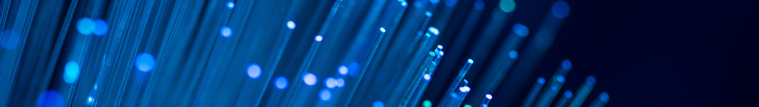 Are you interested in long-term cooperation with our company? Then B2B partnership is the right choice for you!